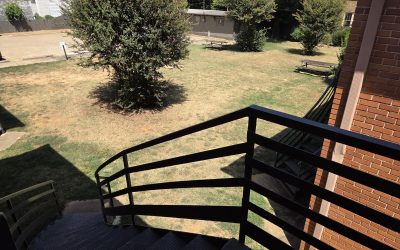 Discover Downtown Living – Great Amenitites